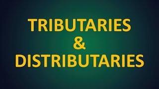 Difference Between Tributary and Distributary  Difference Between Estuary and Delta River Basin [upl. by Eirrek]