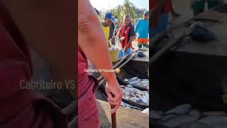 Pescador vs Cabriteiro 🤣 leilão de peixe pesca leilao pescador vamosrir memes [upl. by Miculek]