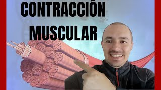 ¿Qué es la CONTRACCION MUSCULAR y sus Tipos Bien Explicada💪 [upl. by Columbyne]