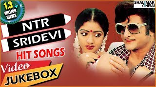 NTR And Sridevi Hit Video Songs  Best Collections  Shalimarcinema [upl. by Gallagher]