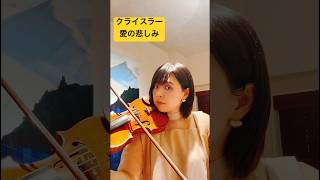 【ヴァイオリン】クライスラー 愛の悲しみ Kreisler liebesleid 🥲ヴァイオリン 練習 violin stradivarius practice shorts [upl. by Dulcy791]