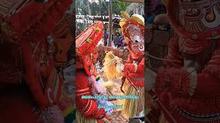 മലപൊട്ടനും മലകുറത്തിയും  Malapottan Malakurathi Theyyam kaliyattam theyyamkerala theyyam [upl. by Nannarb917]