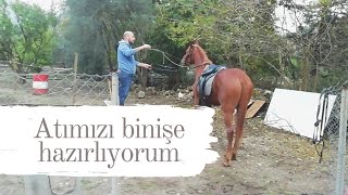 Atımıza biniş için ilk eğitimleri veriyoruz  At eğitimi  Ata eyer yakmak ateğitimi ataeyertakma [upl. by Lugar]