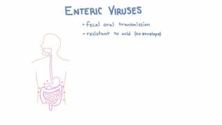 Introduction to Enteric Viruses [upl. by Nilak]