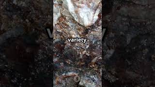 Nepheline syenite  Please Subscribe geology history facts science foryou foryoupage shorts [upl. by Oglesby]