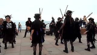 Beltane amp Grimspound Border Morris  Haccombe  Teignmouth Folk Festival  23 Jun 24 [upl. by Gerard]