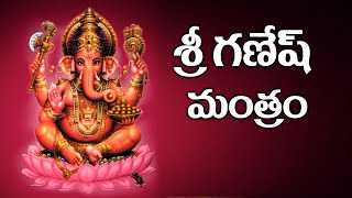 Lord Ganesh Telugu Mantras and Slokas  Lord Ganesh Mantra  SumanTV [upl. by Rasure83]