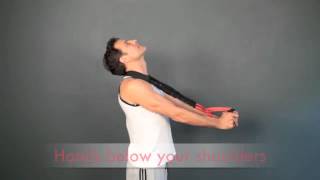 Pro Lordotic Neck Exerciser with Adam Fields DC [upl. by Radmen]