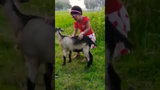 bondho kala chand ki 🥰🥰🥰🥰Megha cutebaby babygirl reels my shortsviral [upl. by Lilli281]