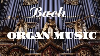 Bach  The Best Organ Music [upl. by Mechling]