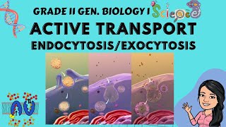 Active Transport  Endocytosis amp Exocytosis  SodiumPotassium Pump  Gen Biology 1 Tagalog [upl. by Tuesday]