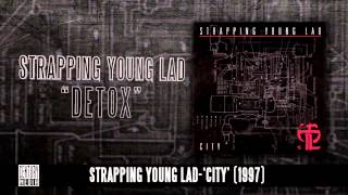 STRAPPING YOUNG LAD  Detox Album Track [upl. by Marcel804]