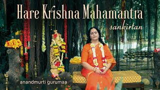 Hare Krishna Mahamantra Sankirtan  Anandmurti Gurumaa  Janmashtami Special 2024 [upl. by Haral]