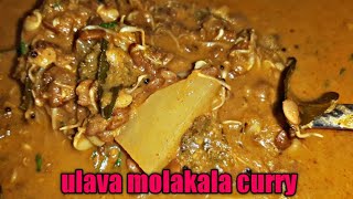 how to make sprouts curryulava molakalu masala Curry [upl. by Ellenod]