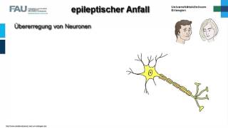 Neuropathologie ─ Epilepsie [upl. by Monte]