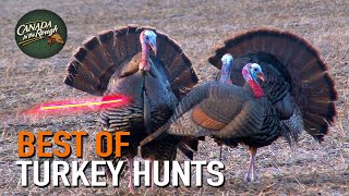 50 Gobblers in 9 Minutes ULTIMATE Turkey Hunting Compilation  BEST OF [upl. by Korb]