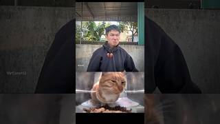 Rizz🤫🧏‍♂️cat funny explore memes bombastic viralvideo shorts [upl. by Kramer878]