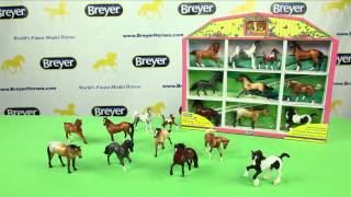 Stablemates Horse Lovers Collection Shadow Box  Breyer Model Horses [upl. by Terle]