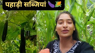 Pahadi vegitables 🍆🌽ll पहाड़ों में धान की निराई ll devbhoomi ll uttarakhandiblogger ll daily vlog 🥰🥰 [upl. by Epuladaugairam471]