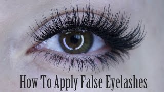 How To Apply of False Eyelashes Strip Lash Individuals amp Bottom Set  Shonagh Scott [upl. by Eedissac]