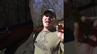 700 BMG Vs Grizzly Bear Kentucky Ballistics [upl. by Lasyrc]