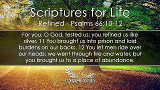 Scriptures for Life  Refined [upl. by Bena]