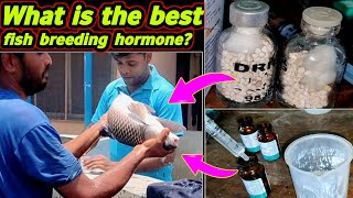 मछली के प्रजनन के लिए कौन सा हार्मोन अच्छा होता है Which hormones are used for breeding fish [upl. by Ashelman652]