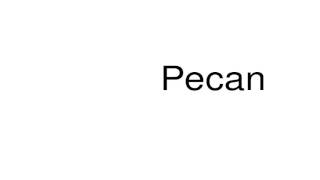 How to pronounce Pecan [upl. by Yard]