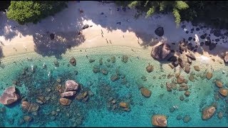 🔴 TOP 5 MELHORES PRAIAS DE UBATUBA SP 🌅😎🌴 [upl. by Mccartan336]