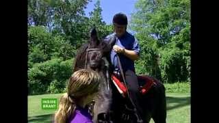 Southern Cross Equestrian on Inside Brant  June 19 2013 [upl. by Kyd]