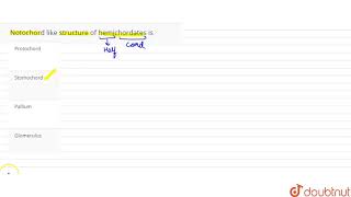 Notochord like structure of hemichordates is [upl. by Neeka]