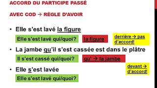 Laccord du participe passé des verbes pronominaux [upl. by Selfridge]