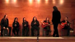 Noches de Flamenco  Noche gitana [upl. by Zobkiw]