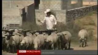 Latin Americas Economic Boom Explained 2 of 2  BBC News and Documentary [upl. by Obmar]