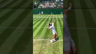 Raonic with a KILLER serve at Wimbledon [upl. by Haggai]