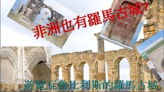 摩洛哥遊 第 3 天遊覽瓦魯比利斯的羅馬古城 Tour Volubiliss roman ancient city and Mekness Royal Palace [upl. by Archaimbaud]