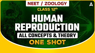 HUMAN REPRODUCTION CLASS 12 ONE SHOT  NEET 2024  ALL CONCEPTS amp THEORY  ZOOLOGY SANKALP BHARAT [upl. by Aramahs]