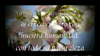 Enigma Return To Innocence Lyrics subtitulado  Retorno a la Inocencia [upl. by Cecilia219]