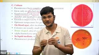 Pneumococci in Hindi II By Sanjay Sir [upl. by Jalbert34]