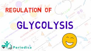 Regulation of glycolysis [upl. by Urata]