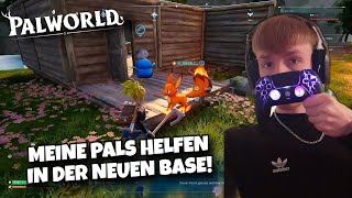 Meine ERSTEN PALS ARBEITEN🛠 in DER BASE😍 Palworld [upl. by Neelhtak562]