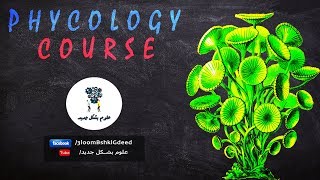 محاضرات كورس Phycology  محاضرة 5 Divisions charophyta bacillariophyta and pyrrophyta [upl. by Airbas]