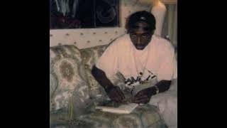 Makaveli  Mista Killuminati unreleased album 1996 check description [upl. by Ahsinor]