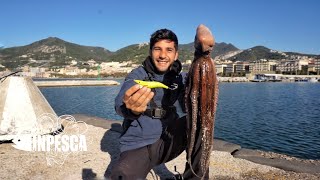 PESCA DEL POLPO  Ottobre ci regala una super cattura 🐙🎣 [upl. by Ricardama]