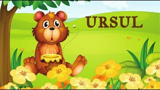 🐻URSUL 🐻 observare cunoașterea mediului [upl. by Atteragram532]