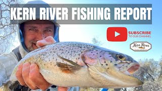 Kern River Fishing Report [upl. by Huntingdon]