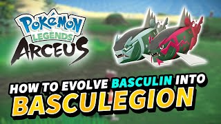 How to evolve BASCULIN into BASCULEGION New evolution  Pokemon Legends Arceus [upl. by Faires]