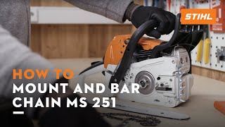 STIHL MS 251  How to mount and bar the chain tension the saw chain  Instruction [upl. by Adnaval539]