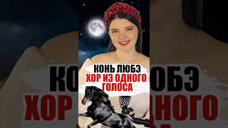 ХОР ИЗ ОДНОГО ГОЛОСА 🐴 Конь  любэ ❤️ хор кавер музыка [upl. by Ahsilla156]