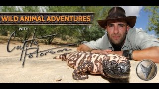 Wild Animal Adventures with Coyote Peterson  App for Kids [upl. by Calmas]